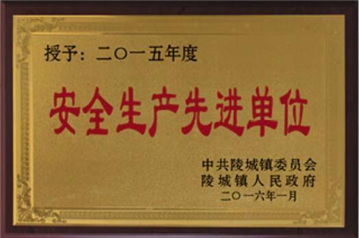 荣誉资质